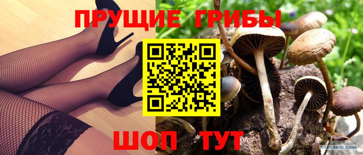 Реж  Галлюциногенные грибы прущие грибы  Вход с VPN 
